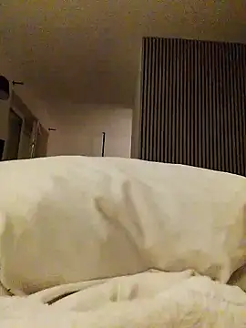 Snapshot of WindyMovement543 chatting on December 17, 8:14 pm WindyMovement543 online show from December 17, 8:14 pm