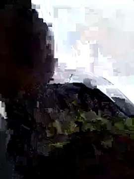 Snapshot of hera-00 chatting on November 16, 10:20 am hera-00 online show from November 16, 10:20 am