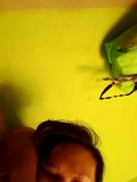 pussywet 08 online show from May 31, 11:16 pm
