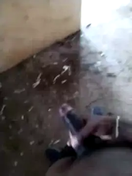 SK 21 online show from February 24, 8:48 am