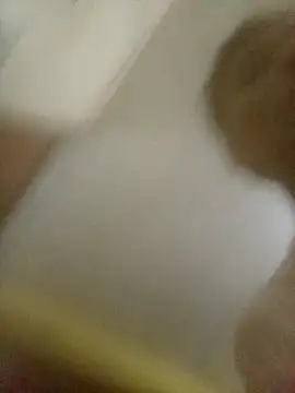 Bebicho14 online show from February 8, 6:22 am