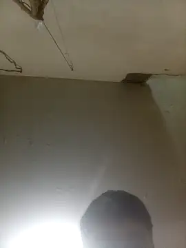 Bebicho14 online show from March 18, 8:39 am