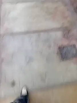 Bebicho14 online show from February 11, 11:21 am