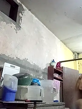 Bebicho14 online show from February 2, 2:21 am