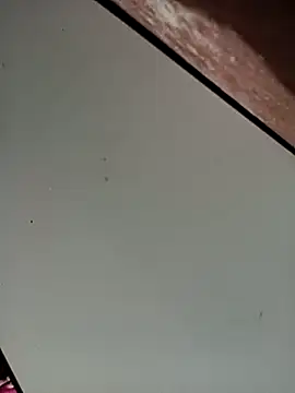 Bebicho14 online show from November 16, 5:23 am