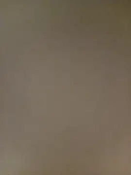 Bebicho14 online show from February 13, 6:35 am