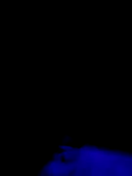 Jbames4567 online show from September 21, 1:22 am