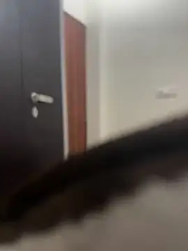 DJLOVE280825 online show from February 9, 7:50 am