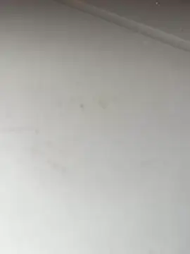 Snapshot of Bandidasexy22 chatting on October 24, 2:27 pm Bandidasexy22 online show from October 24, 2:27 pm