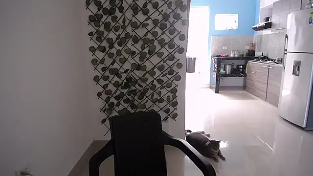 yohacriss online show from December 15, 4:46 pm