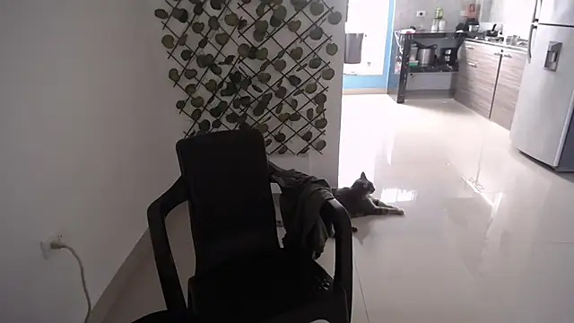 yohacriss online show from December 16, 8:35 pm