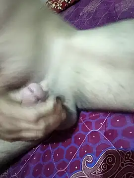 MH 12 11 online show from September 27, 4:46 pm