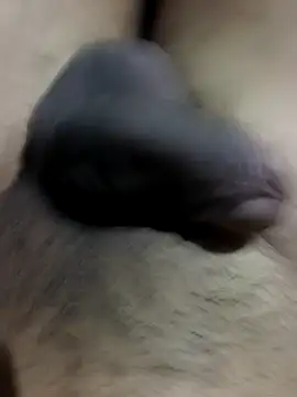 MH 12 11 online show from September 22, 4:35 pm