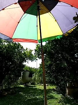 Snapshot of AlphaAlterX chatting on February 17, 7:22 pm AlphaAlterX online show from February 17, 7:22 pm