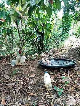 Snapshot of AlphaAlterX chatting on March 2, 3:52 pm AlphaAlterX online show from March 2, 3:52 pm