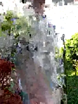 AlphaAlterX online show from December 20, 12:30 pm