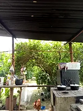 AlphaAlterX online show from March 11, 6:13 pm