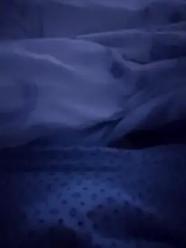 Novin23cms online show from September 28, 6:09 am