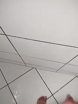 Novin23cms online show from December 2, 2:08 pm