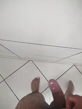 Novin23cms online show from December 3, 2:27 pm