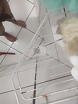 Novin23cms online show from November 13, 11:30 pm