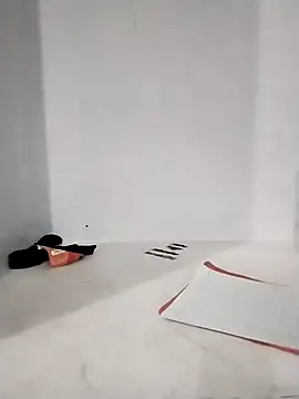 Snapshot of Student_girl2 chatting on October 25, 4:55 am Student girl2 online show from October 25, 4:55 am