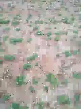 Snapshot of Susila_ji chatting on July 17, 1:08 pm Susila ji online show from July 17, 1:08 pm