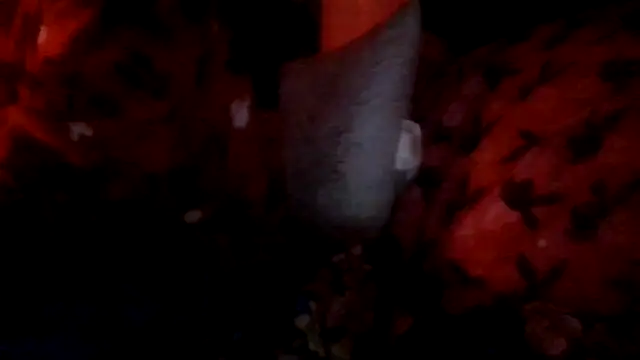 Snapshot of prettymaa chatting on October 1, 3:11 am prettymaa online show from October 1, 3:11 am