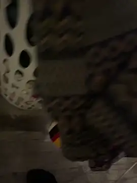 Snapshot of LanaAce719 chatting on December 18, 5:34 am LanaAce719 online show from December 18, 5:34 am