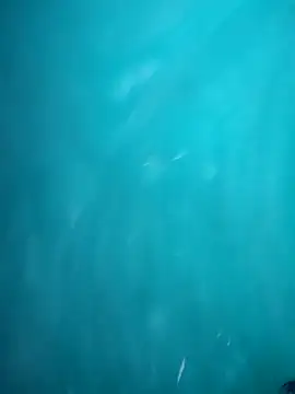 HOT DAAN79 online show from November 4, 7:50 pm