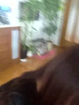 AYA dayo online show from March 13, 12:48 am