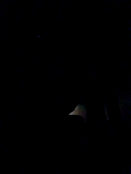 leehank01 online show from November 3, 3:26 pm