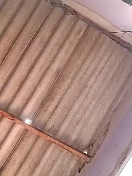 Dotadoaracaju online show from December 1, 2:18 pm