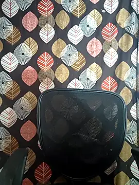 telugu pellam online show from February 28, 9:20 am