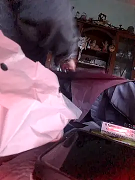 TigreBianca27 online show from November 6, 3:49 pm