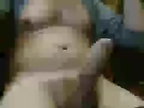 italian max sex online show from November 4, 11:30 pm