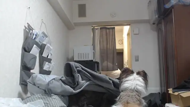 raterate555 online show from March 5, 1:19 pm