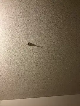 Snapshot of aurorasparkles chatting on September 24, 2:45 pm aurorasparkles online show from September 24, 2:45 pm