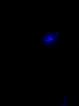 Snapshot of johnboones10 chatting on October 22, 9:42 am johnboones10 online show from October 22, 9:42 am