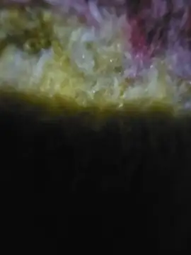 Bokihot online show from June 27, 12:05 am