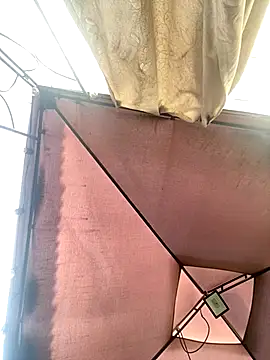 Adele Pinkk online show from November 4, 12:09 pm