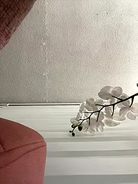 Adele Pinkk online show from November 3, 11:36 am