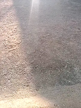 Shreyaaa 1 online show from November 7, 2:16 am