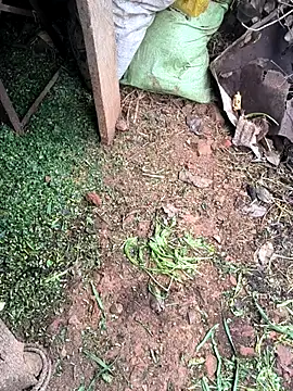 Shreyaaa 1 online show from February 3, 5:05 am