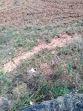 Shreyaaa 1 online show from November 6, 7:23 am