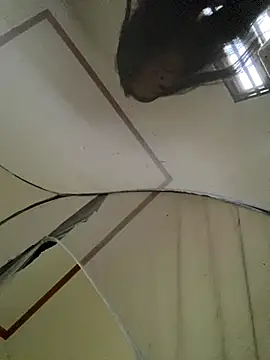 viluna online show from November 2, 5:12 am