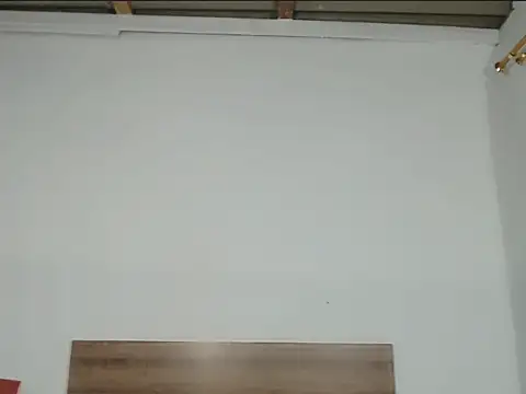 Pamelaebonyyyx online show from October 31, 7:38 am