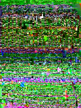 pitudo1313wuero online show from October 2, 10:02 pm