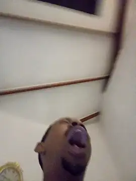 fitsexyman online show from January 11, 8:49 pm