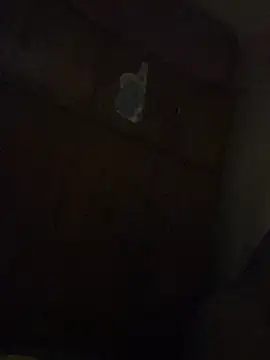 Kajal-Shemale69 online show from December 19, 1:09 am